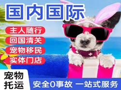 屯溪航空物流国际宠物托运 【国